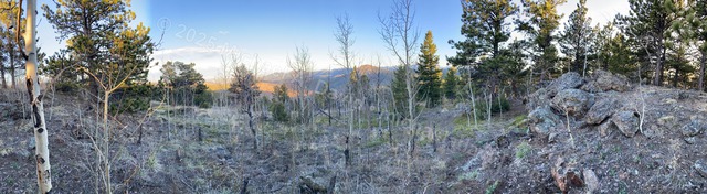 nature_2023-05-05 19.19.47-2023.jpg